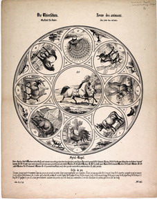 Click to enlarge image
